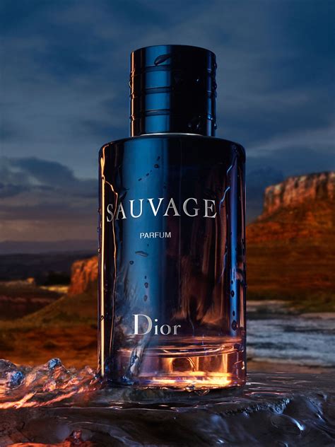 dior sauvage bestes parfum|Dior Sauvage best price.